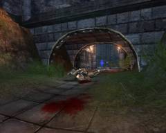 Bloodloss Bloodloss