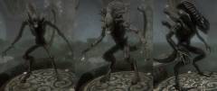 AlienVsPredator Models Pack AlienVsPredator Models Pack
