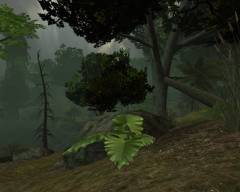 WAR-InfectionForest_SE WAR-InfectionForest_SE