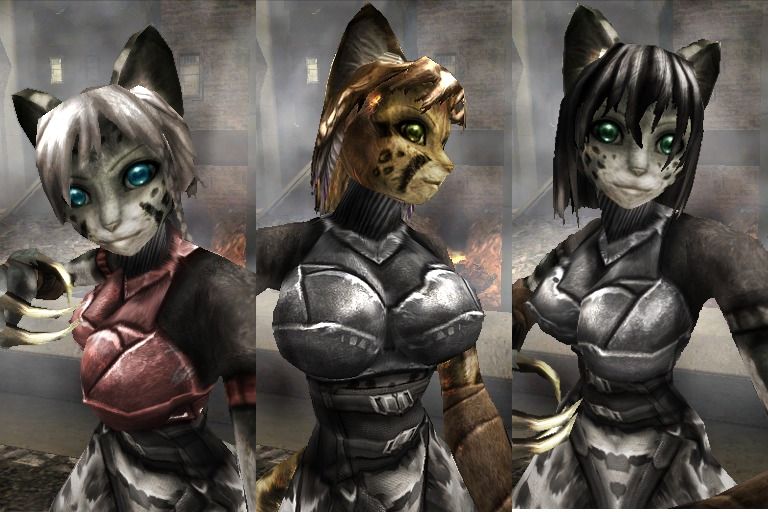 CAT ANTHRO MODEL PACK CAT ANTHRO MODEL PACK