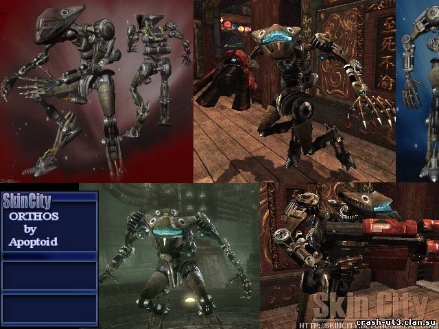 Orthos Orthos