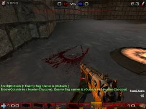 Gore
