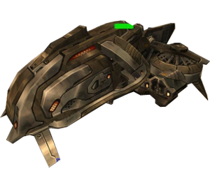 Cicada